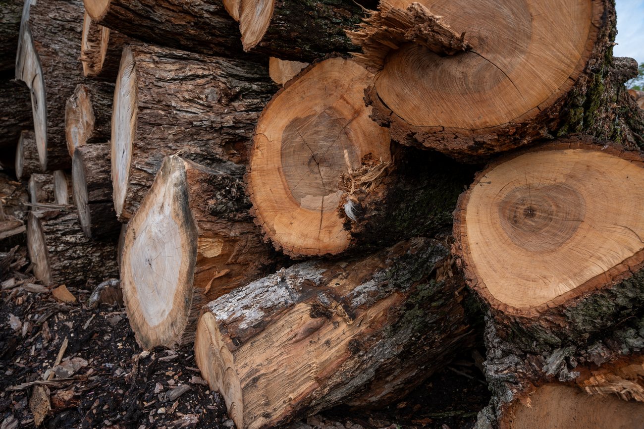 Cedar Logs