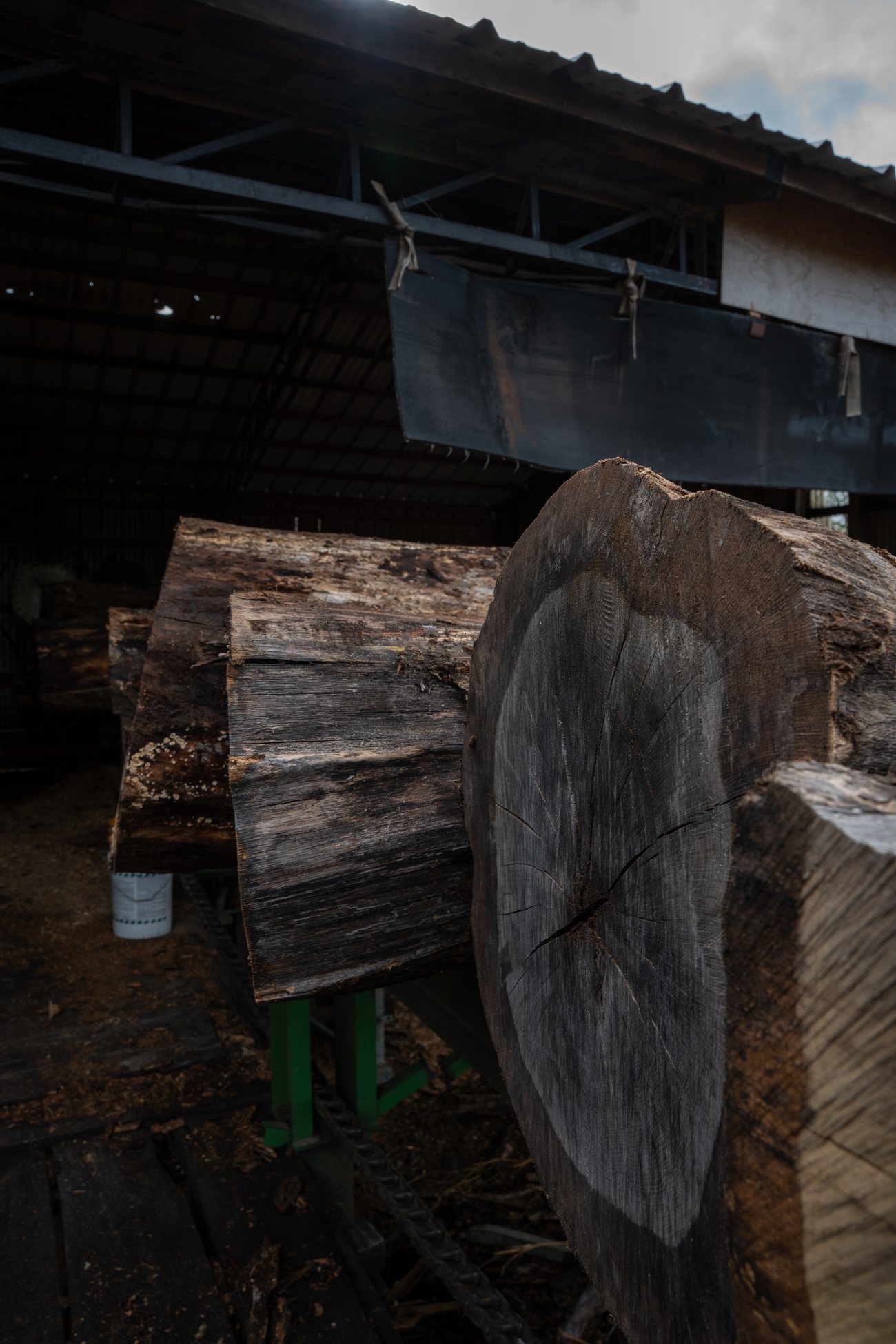 Live-Edge Slabs