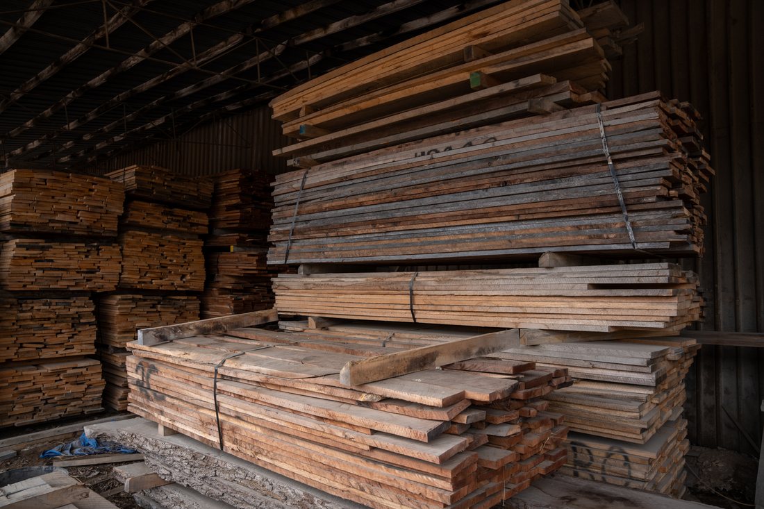 Baltic birch plywood